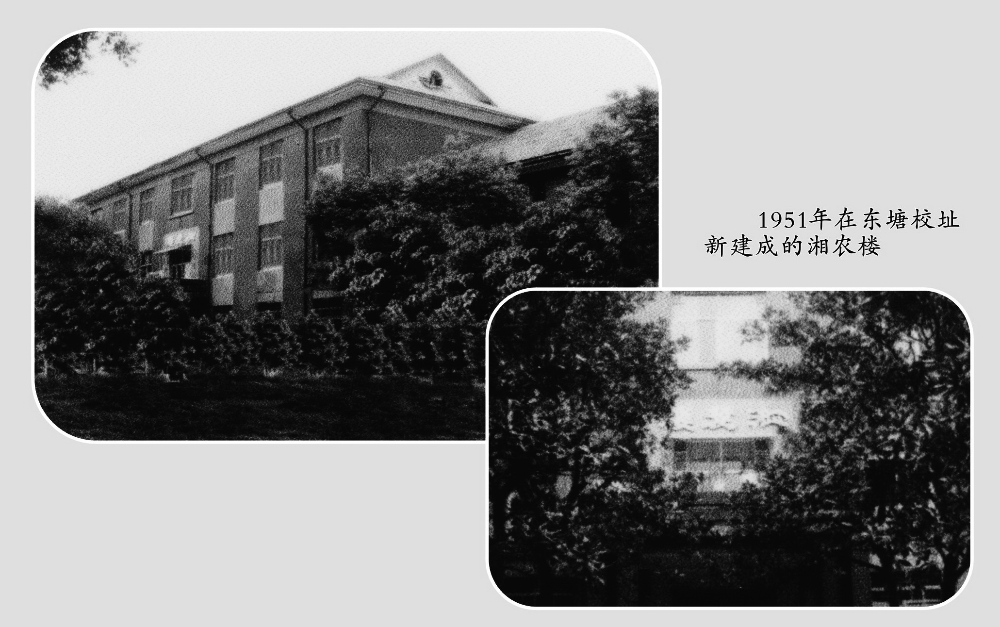 1952年湖南农学院东塘校址